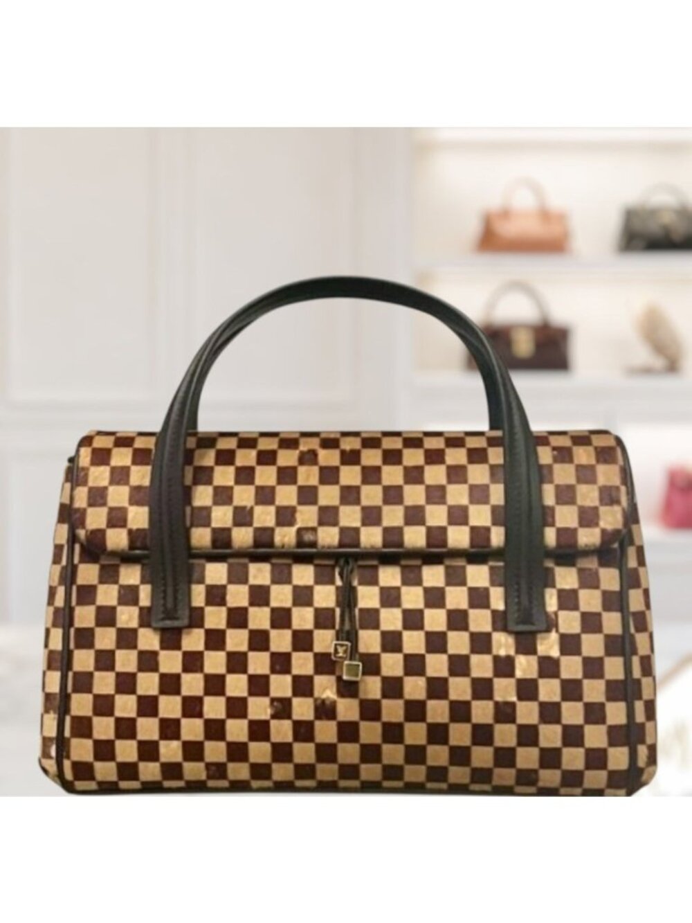 Louis Vuitton Vintage Damier Sauvage Lionne Pony Hair Handbag 623E191P